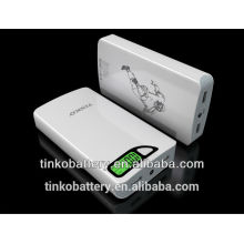 Universal Large Capacity power bank